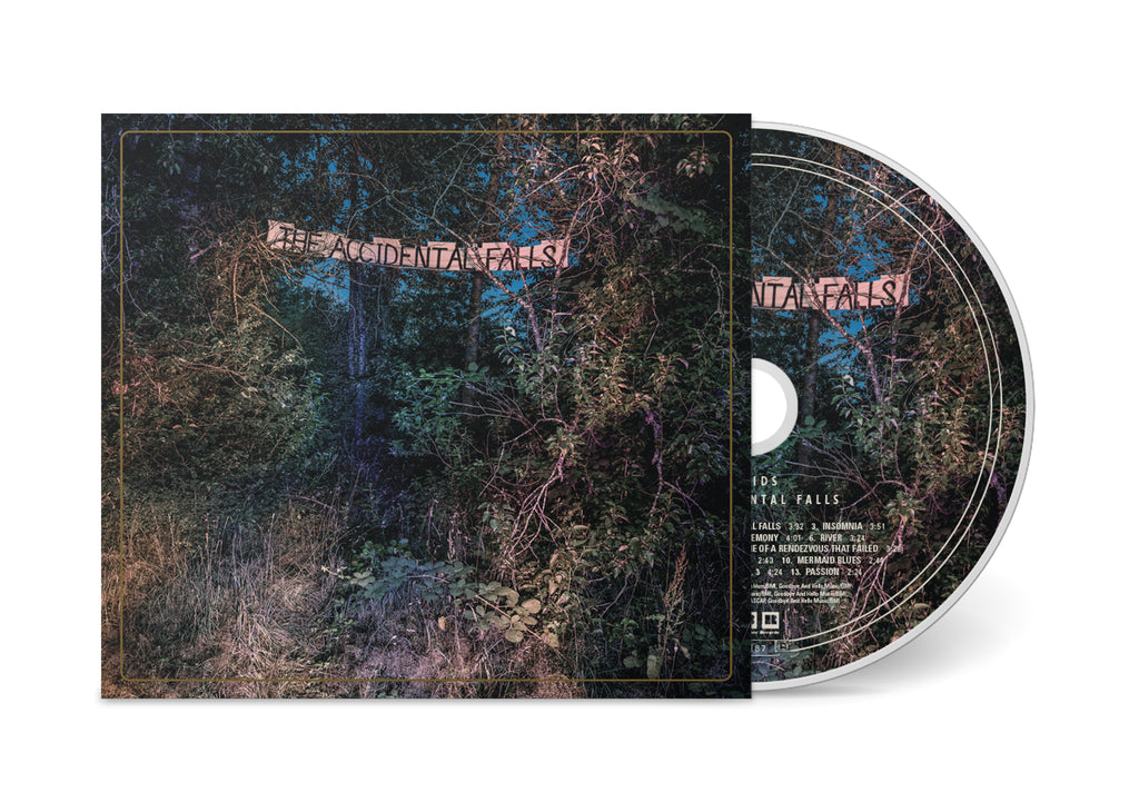 The Accidental Falls