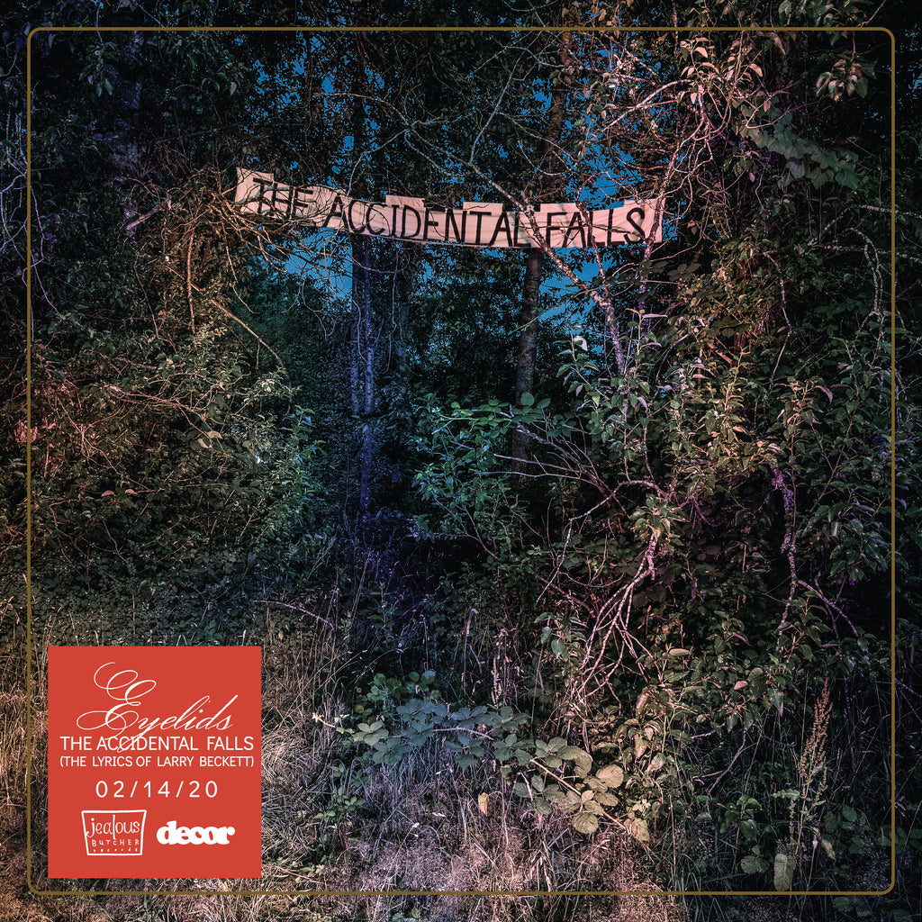 The Accidental Falls