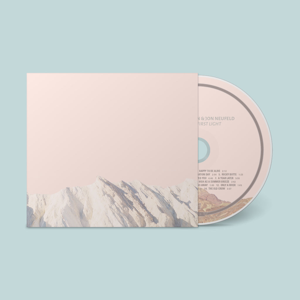 Last Stars First Light