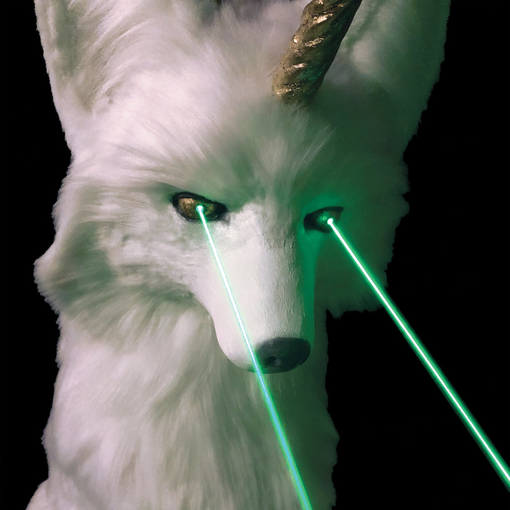 Artificial Head